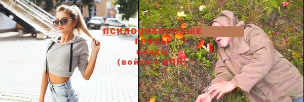 гидропоника Аркадак