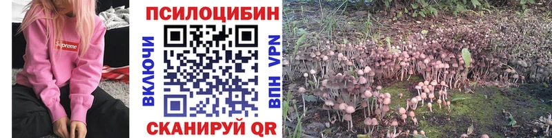 ОМГ ОМГ онион Усть-Джегута Галлюциногенные грибы GOLDEN TEACHER где продают