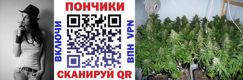 Конопля марихуана  Усть-Джегута 